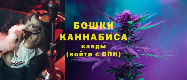 apvp Медногорск