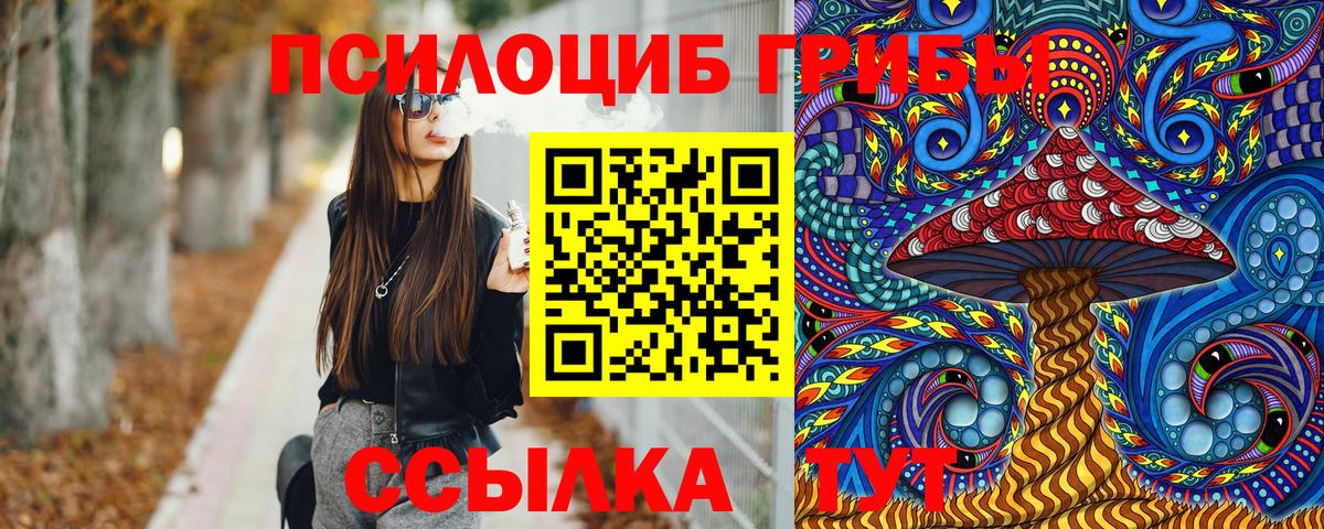 Псилоцибиновые грибы MAGIC MUSHROOMS Электрогорск