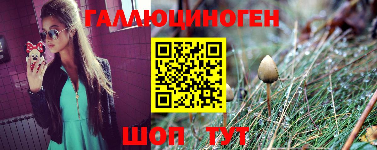 Галлюциногенные грибы Psilocybe  Электрогорск 