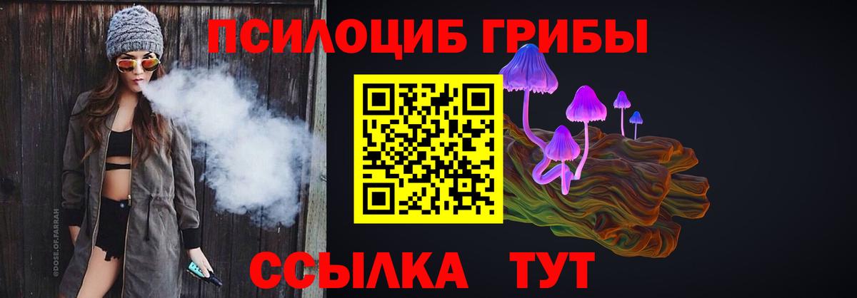 Электрогорск  Псилоцибиновые грибы Psilocybine cubensis  Галлюциногенные грибы мицелий  Вход с VPN 