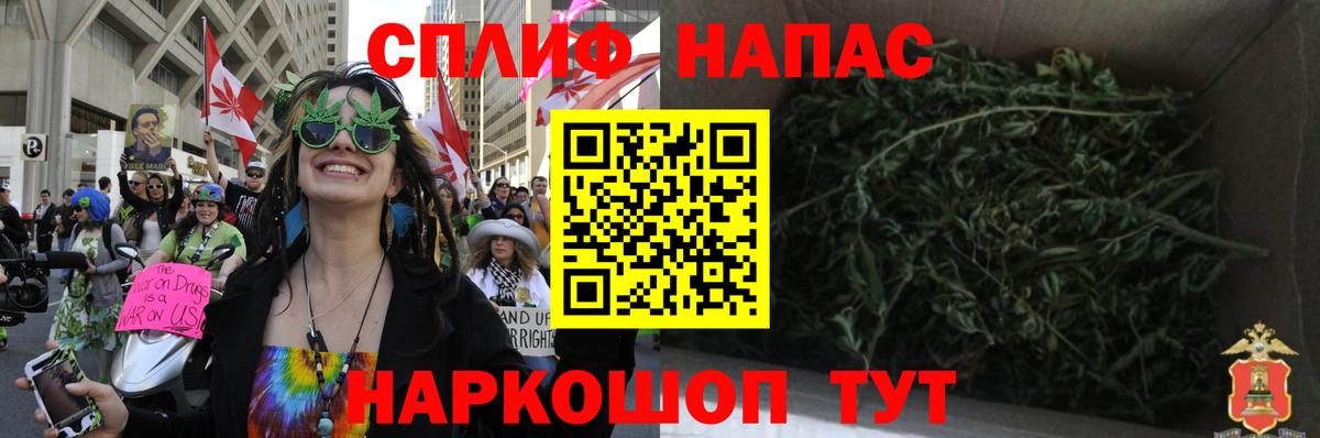 Конопля OG Kush Электрогорск